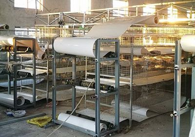 自動采食器的優點