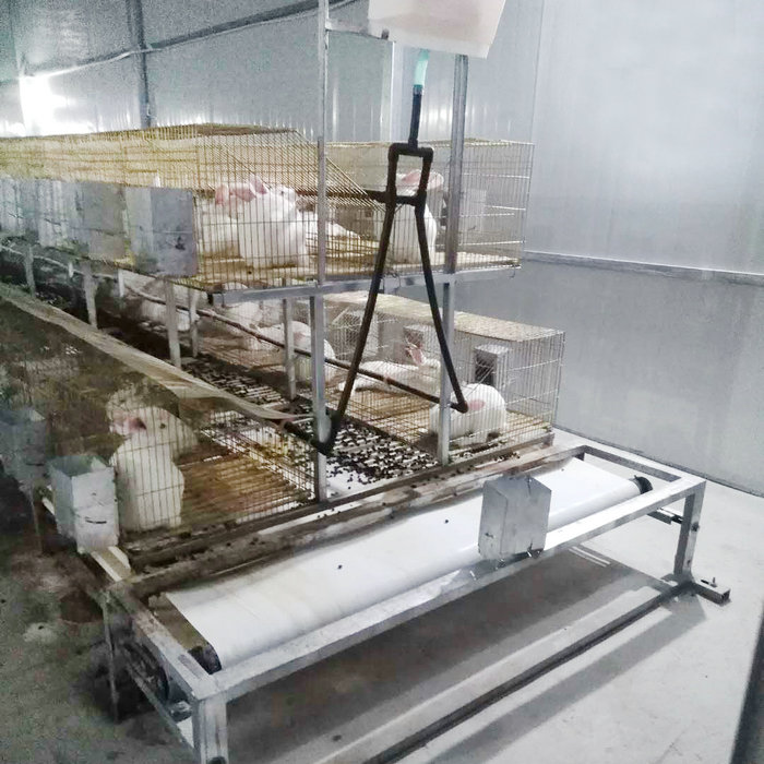 兔用自動(dòng)清糞機(jī) (9).jpg