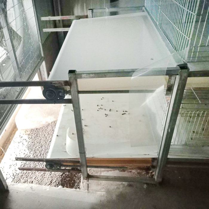 兔用自動清糞機 (1).jpg