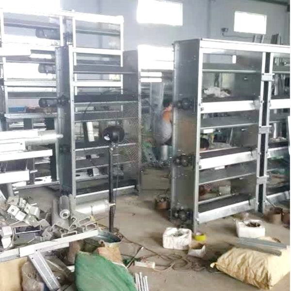 肉雞全自動清糞機 (9).jpg