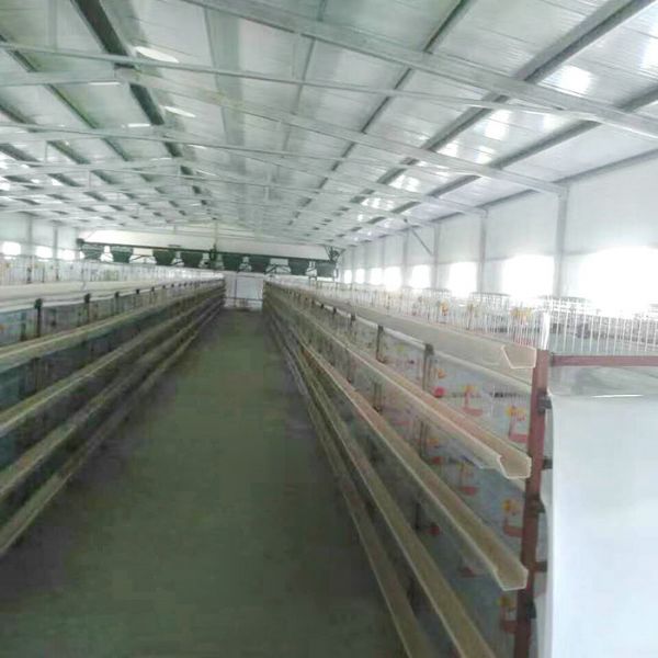 鵪鶉清糞機(jī)