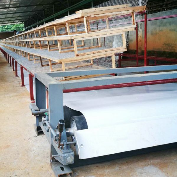 鵪鶉清糞機(jī)