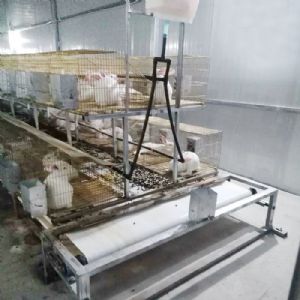 兔用自動(dòng)清糞機(jī)