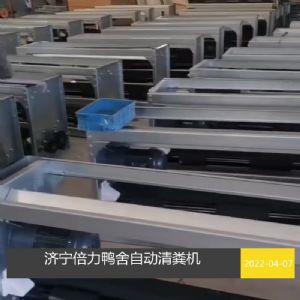 鴨舍自動清糞設(shè)備